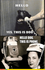 Ring, Ring, Ring! Phone Call!
