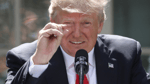 Trump Global Warming
