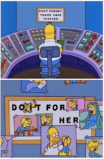 Homer Simpson : The Simpsons Forget you