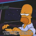 Homer Simpson - I only did that a couple of times