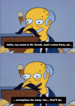 Homer Simpson : The Simpsons Yes master