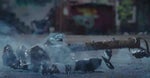 Thor Ragnarok - Thor - I lost my hammer