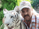 I'm standing in a cage with 5 full grown tigers and a lion