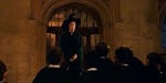 Harry Potter 1 - Professor McGonagall - Your triumphs will earn you points