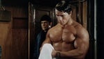 Arnold Schwarzenegger - I'll call you back