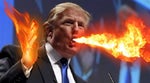 You Are Fired