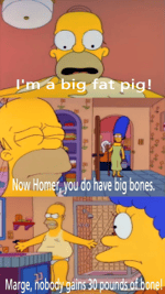 Homer Simpson - I'm a big fat pig