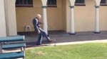 Ozzy Man Reviews: Old man vs Snake
