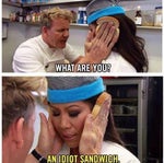 What are you? An idiot sandwich