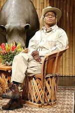Tracy Morgan: Brian Fellow - What? 2
