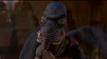 Watto You've Been Here 4 Hours