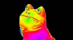 Japanese Frog