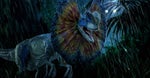 Dilophosaurus Roar 13