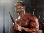 Arnold Schwarzenegger - I'm not interested in that