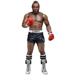 Mr. Unfriendly - Mr T