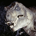 Dinosaur growl
