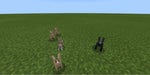Rabbit - Death