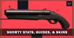 Valorant Weapon Shorty
