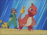 Meeee - Charmeleon Pokemon