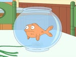 Klaus Heissler American Dad Oh, ok
