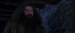 Harry Potter 1 - Hagrid - A car crash.. a car crash kill Lilly and james potter