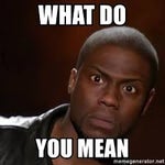 What do you mean