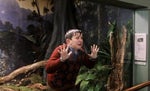 Harry Potter 1 - Harry cousin - Mum! mummy! help me!
