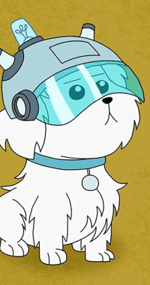 This is a Dog