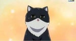 I ruv tuna meow
