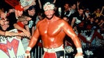 Macho Man Randy Savage - Lie 2