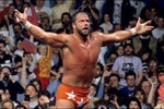 Macho Man Randy Savage - Apology Accepted