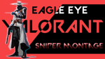 Valorant Cypher - Eagle eyed