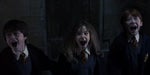 Harry Potter 1 - Harry, Hermione and Ron Fear Scream
