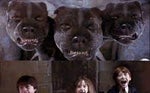 Harry Potter 1 - dogs groaning