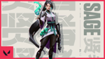Valorant Sage - My purpose is my gift be not afraid to accept it.